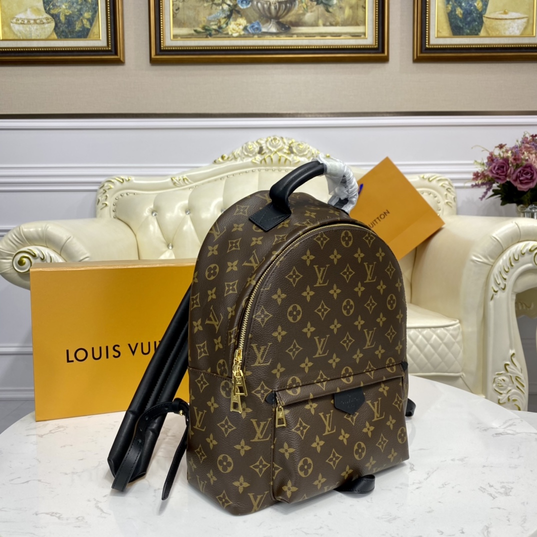 Louis Vuitton PALM SPRINGS MM Backpack Monogram M44874